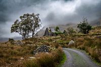 Maison abandonnée en Irlande