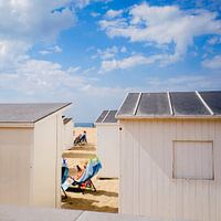 beach houses belgium, east coast