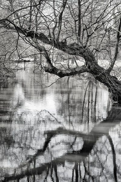 Réflexion par Pieter van Roijen