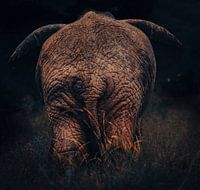 Le vieux de la Tanzanie