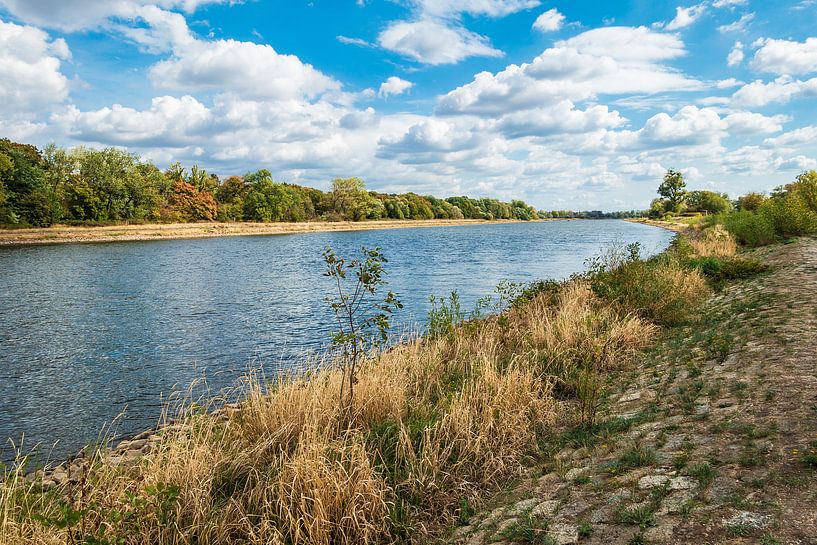 View over the river Elbe near Magdeburg, Germany by Rico Ködder