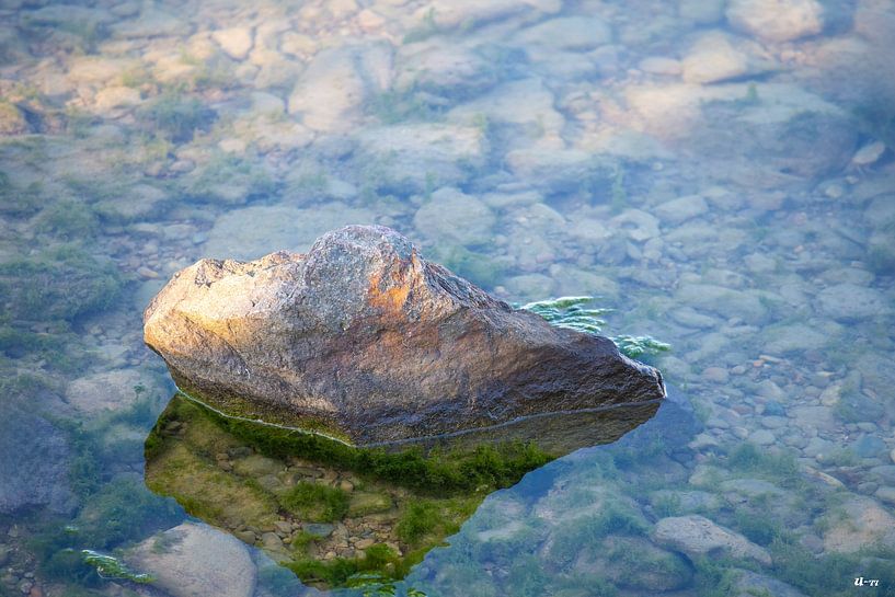 Rots in rivier van Steven van Zoelen
