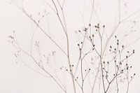 Wildflowers Beige naturel