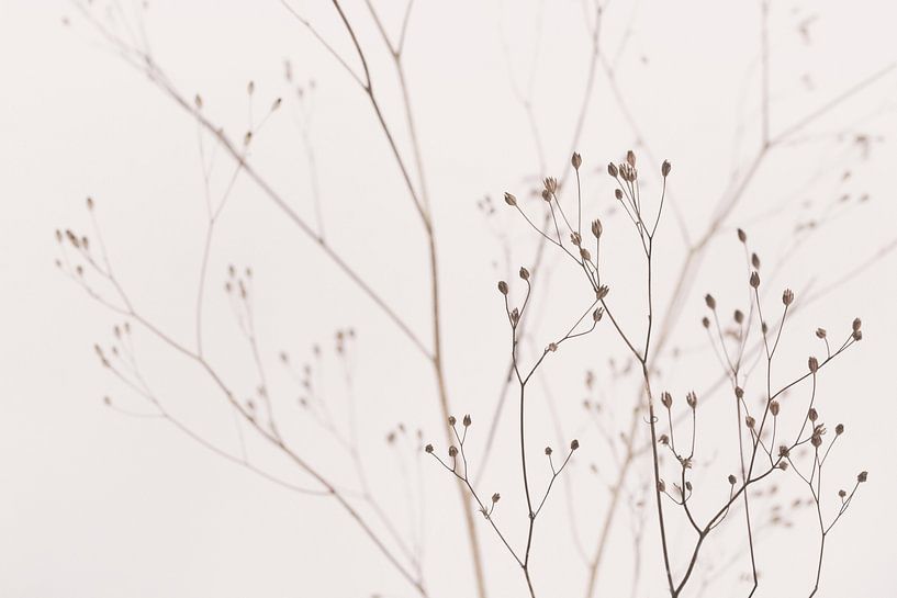 Wilde bloemen Natuurlijk beige van Monika Strigel