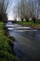 Hollands plaatje in Limburg