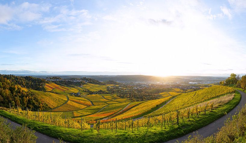 Weitläufiges Panorama der Weinberge am Kappelberg bei Stuttgart. von Jiri Viehmann
