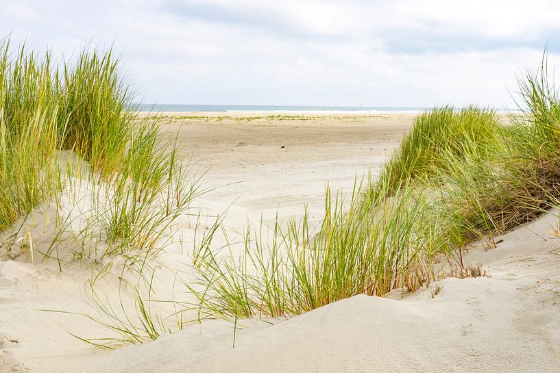 Summer at the beach of the island Terschelling  by Sjoerd van der Wal Photography