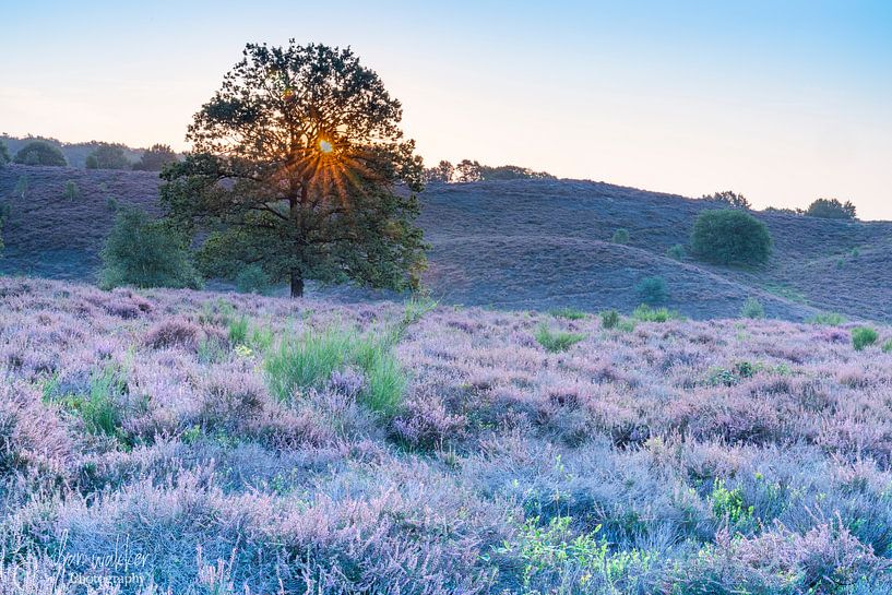 Posbank. van iljan wakker