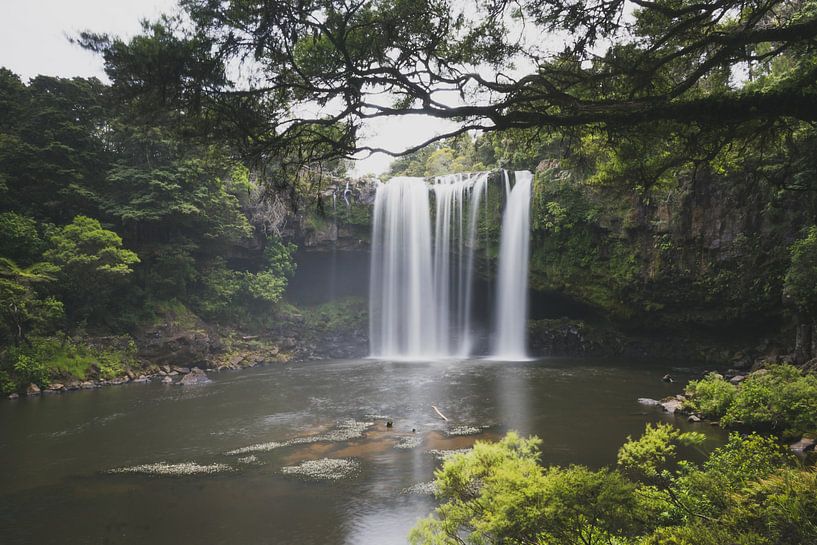 x von Tom in 't Veld