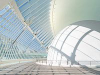 Architecture by Santiago Calatrava in Valencia