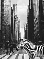 Zèbre à New York - Collage de photos surréalistes de la faune et de la flore Inspiré par Inge Morath
