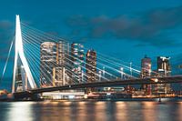 Kop Van Zuid, Rotterdam