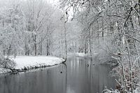 Winters landschap