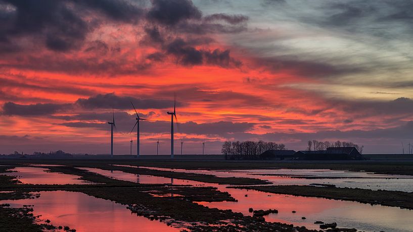 Winter zonsopkomst in januari par Bram van Broekhoven