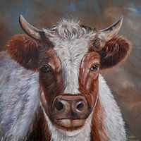 Vache au pelage hirsute