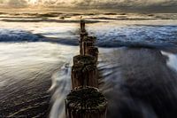 palen van Schoorl in de avond zon