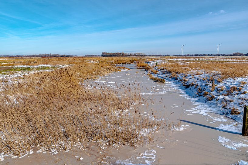 Wärme im Winter von Roland's Foto's