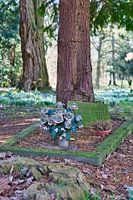 Ehemaliger Überwasserfriedhof in Münster