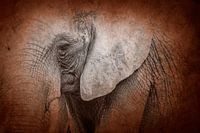 Éléphant du temps entrelacé dans une texture abstraite