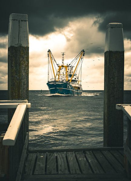 Die TX1 bei Texel von Michel Meulenbroek