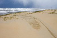 Jeune dune sur la plage avec un ciel sombre et grêle