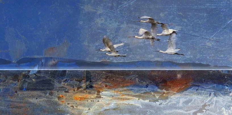 Planète Texel par Ger Veuger