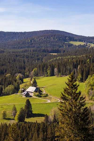 Schwarzwaldhaus im Hochschwarzwald von Werner Dieterich