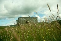 Hermitage Castle, Schotland