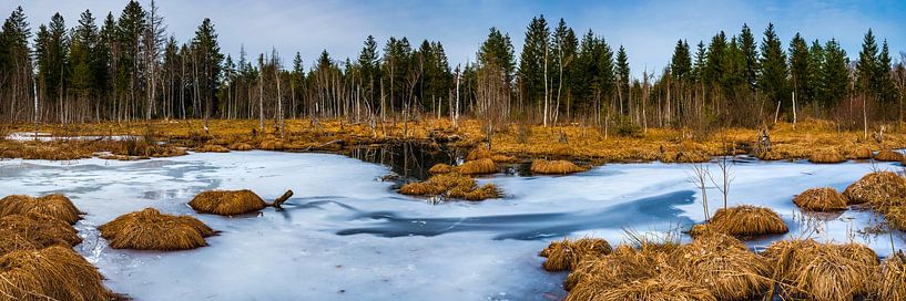 Mousse de Werdenfelser par Walter G. Allgöwer