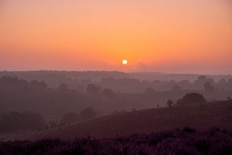 Sonnenaufgang nebelig Posbank von Sander van Hemert