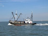 Tough fishing life ....