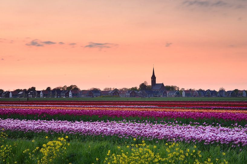 Le fumier moyen dans la lumière du soir par John Leeninga