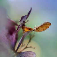 Autumn in full swing