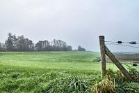 Blick auf den Polder.