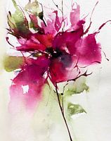 Rose from my garden.