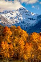 San Juan Mountains Herbst Landschaft drucken - Aspen Wald Foto, Colorado Wandkunst