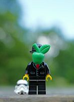 L'homme à la pomme, deuxième vie