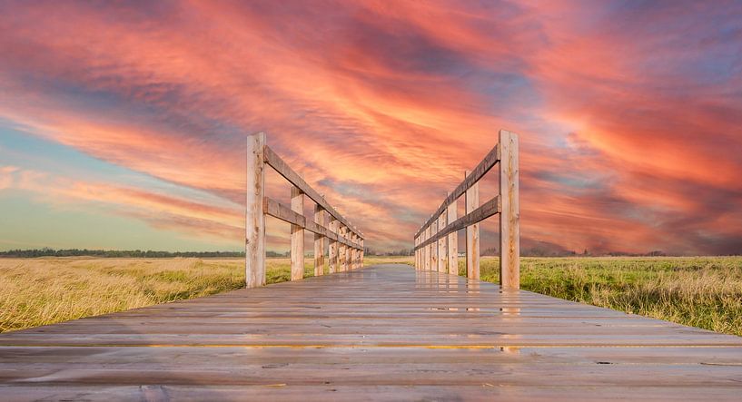 Brücke zum Strand an der Nordsee von Animaflora PicsStock