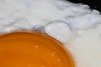 Kulinarische Perfektion aus dem Ei