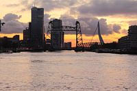 Le soleil couchant entre l'île du Nord et le Kop van Zuid depuis le Maasboulevard.
