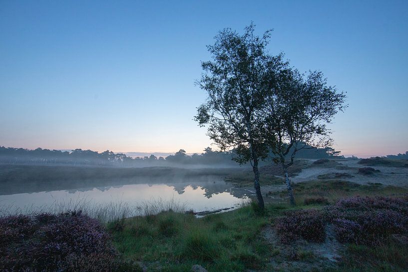 Sonnenaufgang Waldsee Heidestein Zeist Driebergen von Peter Haastrecht, van