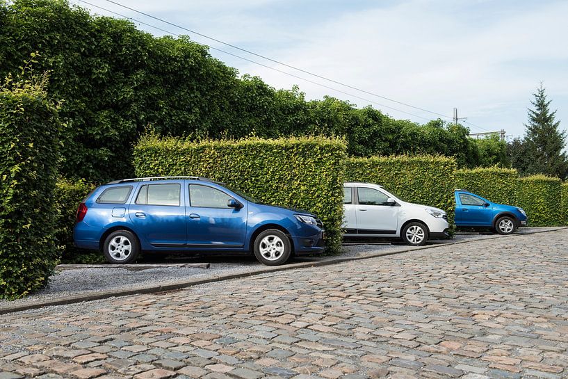 Three of a  Kind von Sytse Dijkstra