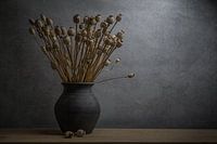 Stilleben mit getrocknetem Mohn in einer irdenen Vase