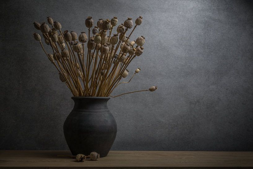 Nature morte avec coquelicot séché dans un vase en terre cuite par John van de Gazelle fotografie