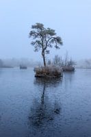 Einsam auf dem gefrorenen See