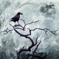 The Raven - H. Fischer