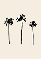 Palm Trees