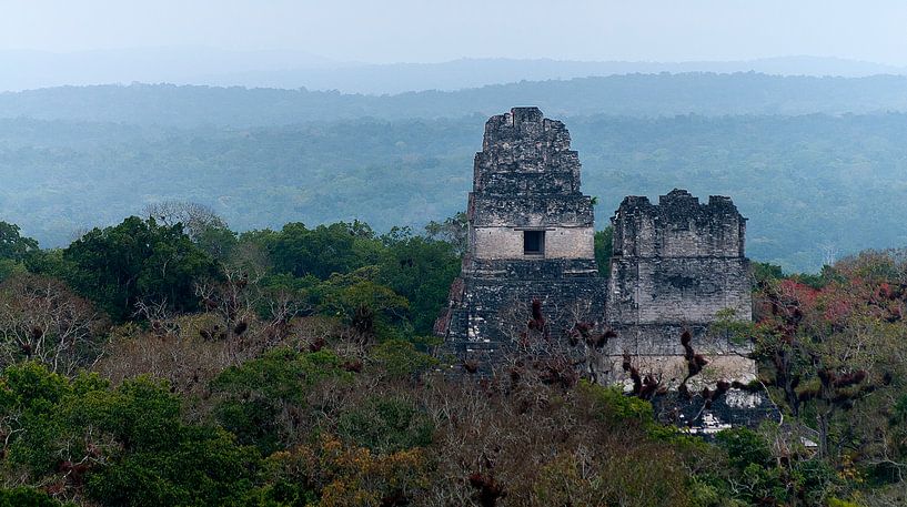 Guatemala: Tikal (Yax Mutal) von Maarten Verhees