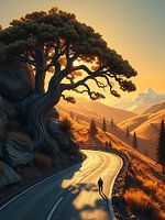 Eenzame boom op Sunset Cliff