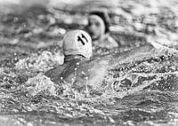 Waterpolo zwart wit / black & white